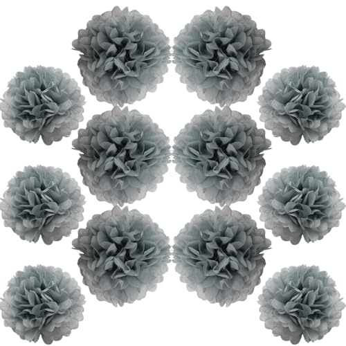 Ruidee 12 Stück Seidenpapier Pompoms 10in and 12in Papier Blumen Ball Dekorpapier Kit Papierblumen Pom Poms für Hochzeit,Geburtstage,Party Dekorationen (ZH/Gray) von Ruidee