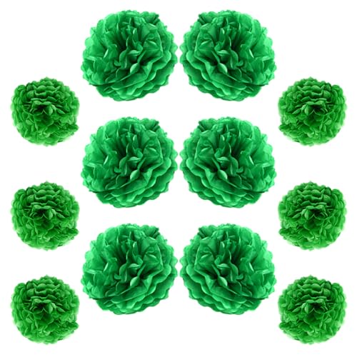 Ruidee 12 Stück Seidenpapier Pompoms 10in and 12in Papier Blumen Ball Dekorpapier Kit Papierblumen Pom Poms für Hochzeit,Geburtstage,Party Dekorationen (ZH/Green) von Ruidee
