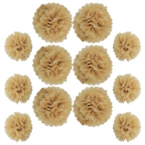 Ruidee 12 Stück Seidenpapier Pompoms 10in and 12in Papier Blumen Ball Dekorpapier Kit Papierblumen Pom Poms für Hochzeit,Geburtstage,Party Dekorationen (ZH/Khaki) von Ruidee