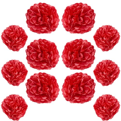 Ruidee 12 Stück Seidenpapier Pompoms 10in and 12in Papier Blumen Ball Dekorpapier Kit Papierblumen Pom Poms für Hochzeit,Geburtstage,Party Dekorationen (ZH/Red) von Ruidee
