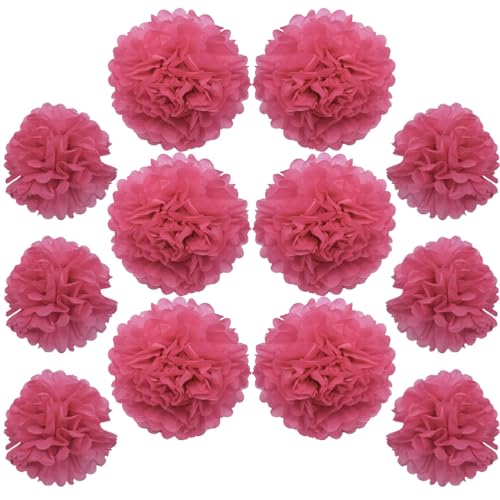 Ruidee 12 Stück Seidenpapier Pompoms 10in and 12in Papier Blumen Ball Dekorpapier Kit Papierblumen Pom Poms für Hochzeit,Geburtstage,Party Dekorationen (ZH/Rose) von Ruidee