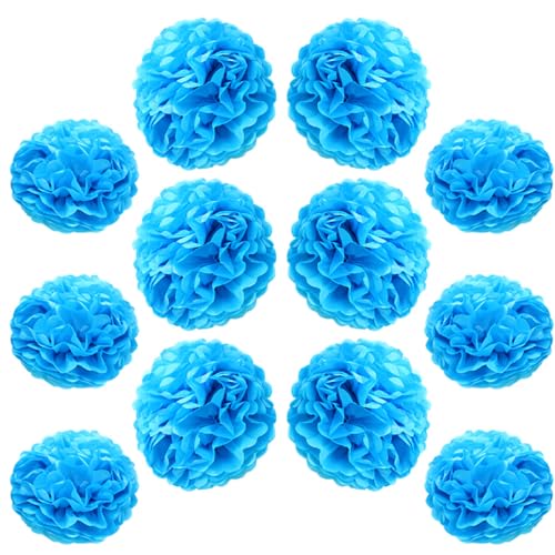 Ruidee 12 Stück Seidenpapier Pompoms 10in and 12in Papier Blumen Ball Dekorpapier Kit Papierblumen Pom Poms für Hochzeit,Geburtstage,Party Dekorationen (ZH/Sky Blue) von Ruidee