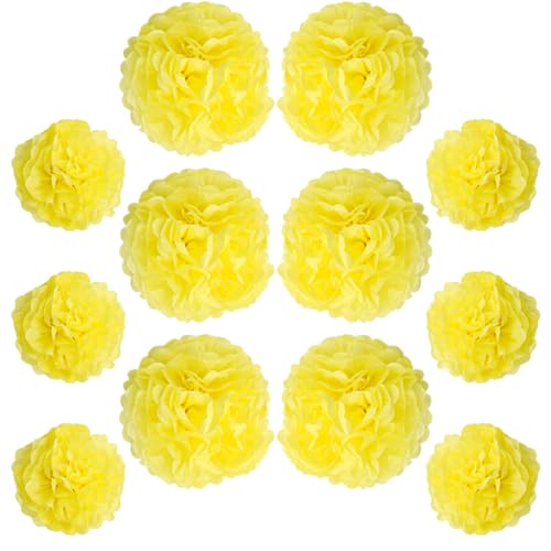 Ruidee 12 Stück Seidenpapier Pompoms 10in and 12in Papier Blumen Ball Dekorpapier Kit Papierblumen Pom Poms für Hochzeit,Geburtstage,Party Dekorationen (ZH/Yellow) von Ruidee
