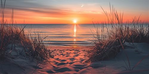 Malen Nach Zahlen Sonnenuntergang Strand Malen Nach Zahlen Kinder Anfänger,Malen-Nach-Zahlen ab 9 Jahre Mädchen Geschenke,DIY Ölgemälde Set Pinseln Acrylpigment Leinwan,Home Deko Wohnzimme 60x120cm Malen Nach Zahlen Sonnenuntergang Strand Malen Nach Zahlen Kinder Anfänger,Malen-Nach-Zahlen ab 9 Jahre Mädchen Geschenke,DIY Ölgemälde Set Pinseln Acrylpigment Leinwan,Home Deko Wohnzimme 60x120cm von Ruohuo