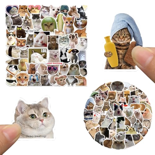 100 Stück Lustige Katzen Meme Sticker Set,Meme Aufkleber für Auto Laptop Skateboard Fahrrad Moped Motorrad Fahrrad Computer,Geeignet für Erwachsene Kinder von Rwoythk