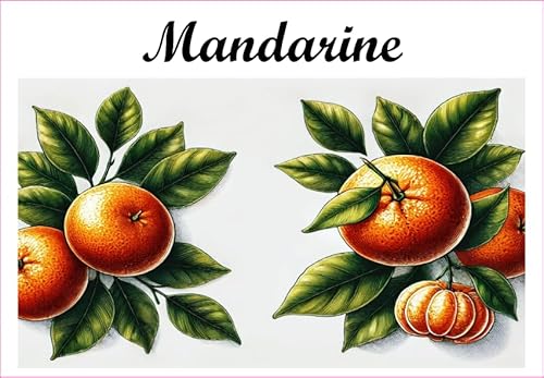 Mandarine Vinyl-Etiketten für Konserven, 52 x 75 mm, 12 Stück, hausgemacht Mandarine Vinyl-Etiketten für Konserven, 52 x 75 mm, 12 Stück, hausgemacht von S A F I R M E S