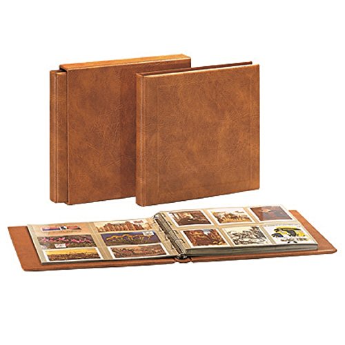 SAFE 1001 Maxi-Album für Postkarten | mit 8 Blättern für 96 Karten | 405 x 380 x 55 mm von SAFE