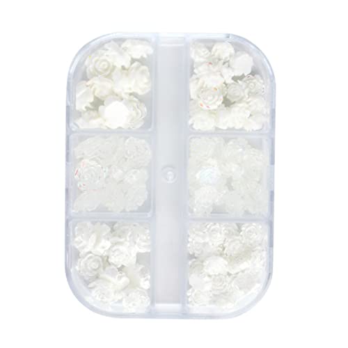 SAFIGLE 1 Satz Boxen Blumen Nagel Charms Nagelschmuck Zubehör Für Maniküren Geeignet Für Diy Nageldesigns Für Und Mädchen 2boxen SAFIGLE 1 Satz Boxen Blumen Nagel Charms Nagelschmuck Zubehör Für Maniküren Geeignet Für Diy Nageldesigns Für Und Mädchen 2boxen von SAFIGLE