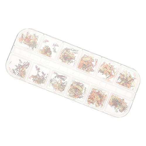 SAFIGLE 1 Schachtel Zodiac Nail Art Charms Sterne Buchstaben Dekorationssets für Kreative Nageldesigns für Persönliche und Professionelle Anwendungen und SAFIGLE 1 Schachtel Zodiac Nail Art Charms Sterne Buchstaben Dekorationssets für Kreative Nageldesigns für Persönliche und Professionelle Anwendungen und von SAFIGLE