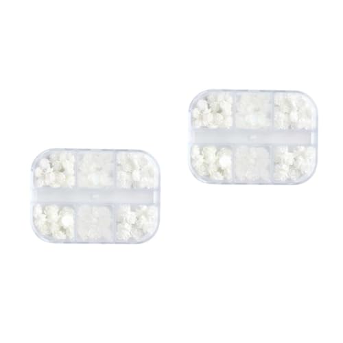 SAFIGLE 2 Sätze Nail Charms Set Maniküre Dekorationen Aus Resin Blumen Nagelkunst Zubehör Für Kreative Diy Designs Für Nail Art Und Künstler 2boxen*2 von SAFIGLE