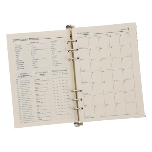 SAFIGLE Planner Ästhetischer Tagesplaner Loseblatt Notizbuch mit Abnehmbaren Seiten Wochen und Monatsübersicht Langlebiges Design Vielseitig für Termine Journaling Notizen von SAFIGLE
