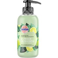 SAGROTAN® FRISCH&FRUCHTIG Flüssigseife 300 ml von SAGROTAN®