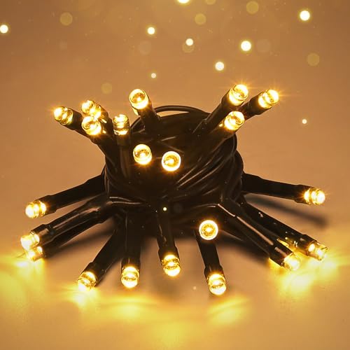 SALCAR LED Lichterkette Außen Batterie, 2M 20LED Christbaumbeleuchtung Außen, Wasserdicht Lichterkette für Innen Außen, Weihnachtsbaum, Garten, Partys, Warmweiß SALCAR LED Lichterkette Außen Batterie, 2M 20LED Christbaumbeleuchtung Außen, Wasserdicht Lichterkette für Innen Außen, Weihnachtsbaum, Garten, Partys, Warmweiß von SALCAR