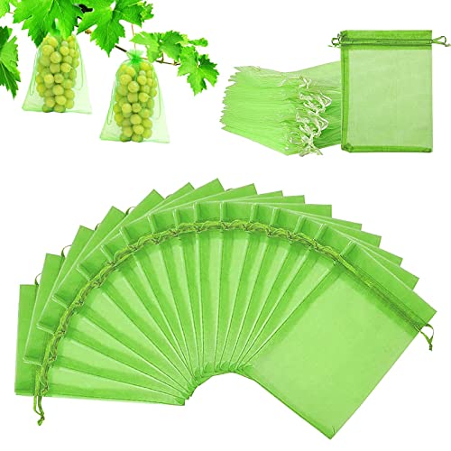 100 Stück Traubenschutzbeutel, 30x20cm Obst Schutzbeutel mit Zugband, Pflanzen Schutzbeutel, Garten Netz Beutel Organzabeutel zum Schutz von Pflanzen Frucht Blumen Gemüse Moosgrün 100 Stück Traubenschutzbeutel, 30x20cm Obst Schutzbeutel mit Zugband, Pflanzen Schutzbeutel, Garten Netz Beutel Organzabeutel zum Schutz von Pflanzen Frucht Blumen Gemüse Moosgrün von SAMSYOKI