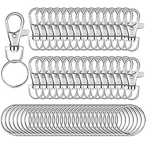 SANNIX 60 Stück Schlüsselanhänger Clip Haken Drehverschlüsse Lanyard Karabinerhaken mit geteilten Schlüsselringen, Schlüsselanhänger-Haken zum Aufhängen Handwerk Schmuckherstellung von SANNIX