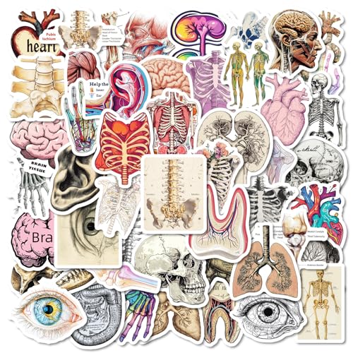 SANYUANHE 100 Stück Organe Anatomie Aufkleber,Biologie Organe Sticker,Körper Organe Lernhilfe,Menschliche Anatomie Graffiti Aufkleber für Wasserflaschen,Koffer,Autos,Tablets,Kinder und Erwachsene SANYUANHE 100 Stück Organe Anatomie Aufkleber,Biologie Organe Sticker,Körper Organe Lernhilfe,Menschliche Anatomie Graffiti Aufkleber für Wasserflaschen,Koffer,Autos,Tablets,Kinder und Erwachsene von SANYUANHE