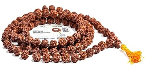 5 Mukhi Rudraksha Mala 108 Perlen mit Zertifikat 7mm braun von SARVAKSH