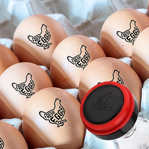 Eierstempel, Süß Eierstempel Personalisiert mit Stempelkissen Eierstempel für Frische Eier für Bauernhof Hühnerstall Bauernbedarf (Gravur mit "Fresh Eggs") von SAVITA