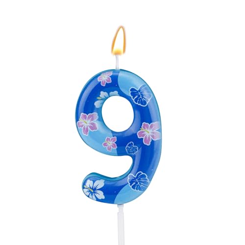 Geburtstagskerzen Zahlen, Blau Anime-Thema Geburtstagstortenaufsatz für Jungen Mädchen Kinderparty-Dekorationen (Zahl 9) von SAVITA