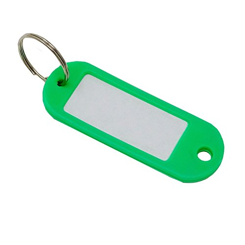SBS 100 Stück Schlüsselschilder Schlüsselanhänger mit Etikett | zum beschriften | Grün von SBS