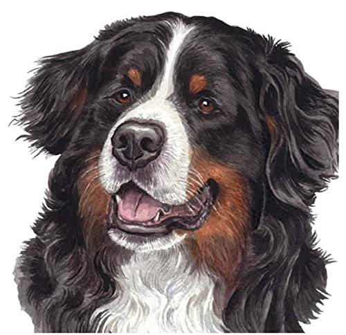 SCDSM Kreuzstich-Set für Erwachsene, Berner Sennenhund, 11 Karat vorgedrucktes Kreuzstich-Set, Stickerei-Bastelset für Anfänger SCDSM Kreuzstich-Set für Erwachsene, Berner Sennenhund, 11 Karat vorgedrucktes Kreuzstich-Set, Stickerei-Bastelset für Anfänger von SCDSM