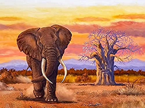 SCDSM Kreuzstich Stickpackungen,Elefant bei Sonnenuntergang,Stickvorlagen,Kreuzstich Stickerei Set Vorgedruckt,11CT Stickbilder Erwachsene Vorgedruckt Kreuzstich für Haus,Wand Dekorationen 40x50cm von SCDSM