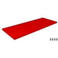 SCHULTE Stahlfachboden Jubiläum »100 Jahre Gebr. Schulte« rot 100,0 x 50,0 cm SCHULTE Stahlfachboden Jubiläum »100 Jahre Gebr. Schulte« rot 100,0 x 50,0 cm von SCHULTE