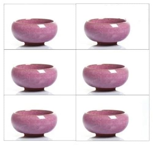 SCZMBLTLNV Teekannen 6 Stück 30 Ml Keramik Yixing Lila Ton Teeservice Crackle Glasur Kung Fu Teetasse Set Reise Chinesisches Porzellan Porzellan-Teeservice Tragbares Teeservice(G) von SCZMBLTLNV