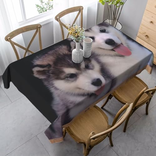 SDEGTHO Tischdecke mit Husky-Motiv, französische Tischdecke für rechteckige Tische, Tischdecke für Esszimmer, Erntedankfest, Küchendekoration von SDEGTHO