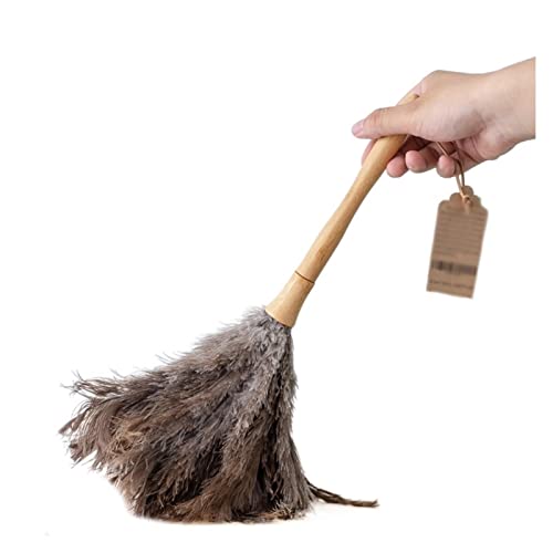 Staubwedel, China Quality 16 Zoll Straußenfederstaubtücher mit Holzgriff for Reinigen von Möbelgriffen(Grey Height 40 cm) von SDGBCXD
