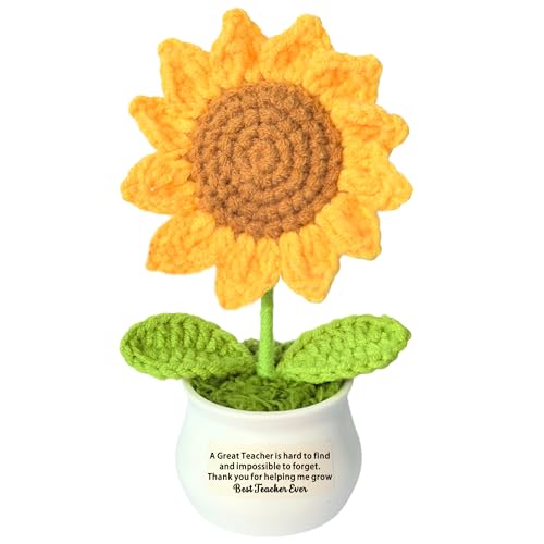 SDOFY Handgefertigte Häkelblumen für Lehrer, Geschenke für Lehrer, künstliche Häkel-Sonnenblume, Ornament, Dankeschön, Lehrer, Geschenke für Frauen und Männer, personalisierte Geschenke für Lehrer von SDOFY