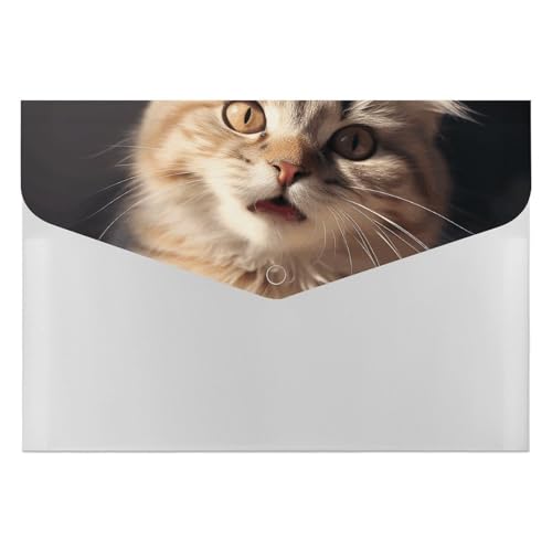 Aktenordner, 6 Taschen, Kunststoff, niedliche Katzenpfote, bedruckt, Aktenordner, Briefgröße, tragbare Ordner, Aktenordner Aktenordner, 6 Taschen, Kunststoff, niedliche Katzenpfote, bedruckt, Aktenordner, Briefgröße, tragbare Ordner, Aktenordner von SDTKLHW