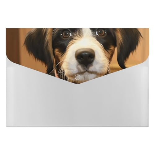 Dokumentenmappen, 6 Taschen, Kunststoff, Hundetraining, bedruckte Ordner, Aktenordner, Briefgröße, tragbare Ordner, Aktenordner Dokumentenmappen, 6 Taschen, Kunststoff, Hundetraining, bedruckte Ordner, Aktenordner, Briefgröße, tragbare Ordner, Aktenordner von SDTKLHW