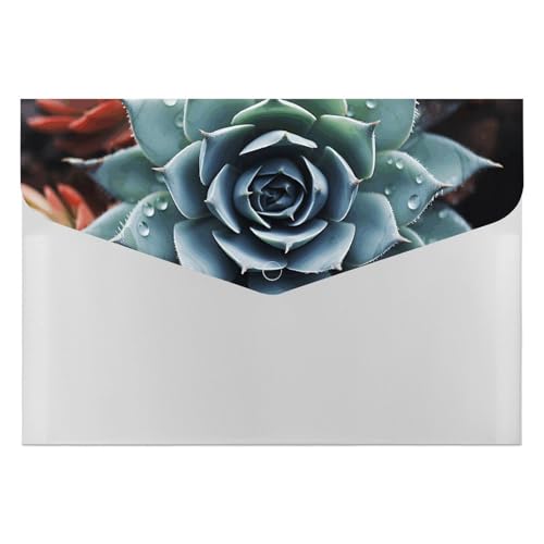 Dokumentenmappen, 6 Taschen, Kunststoff, Sukkulenten, bedruckte Ordner, Aktenordner, Briefgröße, tragbare Ordner, Aktenordner Dokumentenmappen, 6 Taschen, Kunststoff, Sukkulenten, bedruckte Ordner, Aktenordner, Briefgröße, tragbare Ordner, Aktenordner von SDTKLHW