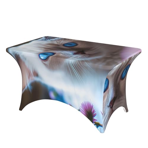 SDTYKHJ Elastan-Stretch-Tischdecke, wasserdicht, strapazierfähig, blauäugige Katze, abwischbar, knitterfrei, Bauernhaus-Esstischdecken für Party, Bankett, Urlaub SDTYKHJ Elastan-Stretch-Tischdecke, wasserdicht, strapazierfähig, blauäugige Katze, abwischbar, knitterfrei, Bauernhaus-Esstischdecken für Party, Bankett, Urlaub von SDTYKHJ