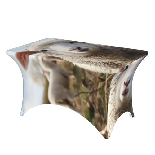 SDTYKHJ Spandex-Stretch-Tischdecke, wasserdicht, strapazierfähig, 122 cm, niedliches Schaf, Lamm, abwischbar, knitterfrei, Bauernhaus, Esstischabdeckung für Party, Bankett, Urlaub SDTYKHJ Spandex-Stretch-Tischdecke, wasserdicht, strapazierfähig, 122 cm, niedliches Schaf, Lamm, abwischbar, knitterfrei, Bauernhaus, Esstischabdeckung für Party, Bankett, Urlaub von SDTYKHJ