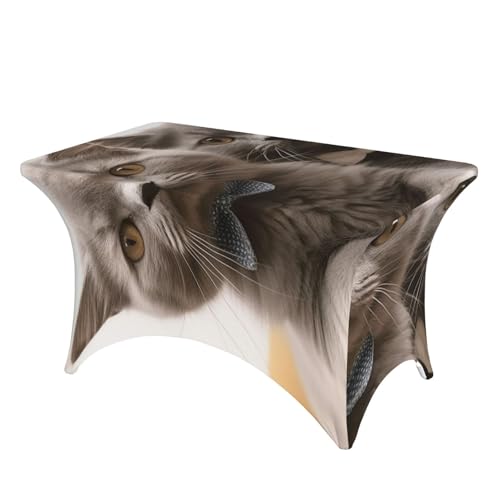 SDTYKHJ Spandex-Stretch-Tischdecke, wasserdicht, strapazierfähig, lustige Katzen, abwischbar, knitterfrei, Bauernhaus-Esstischdecken für Party, Bankett, Urlaub, 122 cm SDTYKHJ Spandex-Stretch-Tischdecke, wasserdicht, strapazierfähig, lustige Katzen, abwischbar, knitterfrei, Bauernhaus-Esstischdecken für Party, Bankett, Urlaub, 122 cm von SDTYKHJ