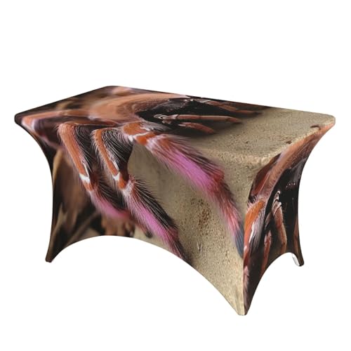 SDTYKHJ Spandex-Tischdecke, dehnbar, wasserdicht, strapazierfähig, groß, mexikanische Vogelspinne, abwischbar, knitterfrei, Bauernhaus, Esstischabdeckung für Party, Bankett, Urlaub SDTYKHJ Spandex-Tischdecke, dehnbar, wasserdicht, strapazierfähig, groß, mexikanische Vogelspinne, abwischbar, knitterfrei, Bauernhaus, Esstischabdeckung für Party, Bankett, Urlaub von SDTYKHJ