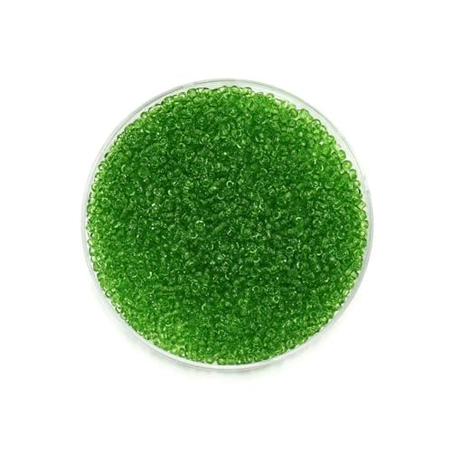1000/1800 Stück 2 mm transparente tschechische Glasperlen, runde lose Perlen für DIY-Armbänder, Ohrringe, Schmuckherstellung, Zubehör – Hellgrün – 2 mm x 1000 Stück 1000/1800 Stück 2 mm transparente tschechische Glasperlen, runde lose Perlen für DIY-Armbänder, Ohrringe, Schmuckherstellung, Zubehör – Hellgrün – 2 mm x 1000 Stück von SEDRGH
