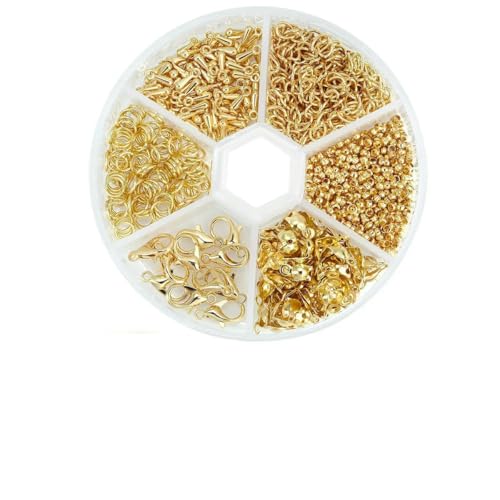 260–1220 Stück/Box Schmuckherstellungs-Kits Karabinerverschluss Offene Biegeringe Endcrimps Perlen Box-Sets Handgefertigte Armband-Halsketten-Befunde-02-830 Stück 260–1220 Stück/Box Schmuckherstellungs-Kits Karabinerverschluss Offene Biegeringe Endcrimps Perlen Box-Sets Handgefertigte Armband-Halsketten-Befunde-02-830 Stück von SEDRGH