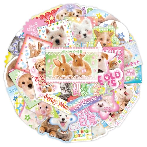 40COUNTS Animal Sticker Ästhetischer Aufkleber Für Scrapbooking Notebook Wasserflasche Telefon Hülle Skateboard Gitarrenpackung 40COUNTS Animal Sticker Ästhetischer Aufkleber Für Scrapbooking Notebook Wasserflasche Telefon Hülle Skateboard Gitarrenpackung von SELVFZ