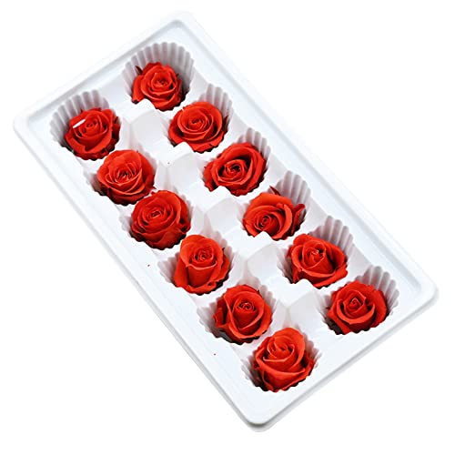 SELVFZ 12 Pcs Getrocknete Blüten Set Natürliche Trockenrosen Mit Exquisiten Technologie Konservierte Blumen Delikat von SELVFZ