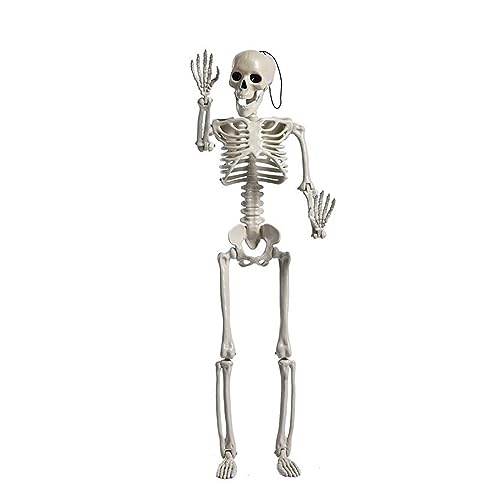 Halloween-Skelett-Dekorationen, Ganzkörper-Plastik, kleines kleines Skelett, bewegliche Gelenke für Skelett, Halloween-Party, hängende Halloween-Dekorationen, Halloween-Partyzubehör von SELiLe