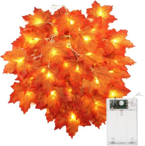 SEMINISMAR Herbst Lichterkette,Ahornblatt Lichterkette,3M 20 LED Halloween Lichterkette,Herbst Deko Blättergirlande Lichter für Erntedankfest,Halloween,Weihnachten,Party Deko Tischdeko SEMINISMAR Herbst Lichterkette,Ahornblatt Lichterkette,3M 20 LED Halloween Lichterkette,Herbst Deko Blättergirlande Lichter für Erntedankfest,Halloween,Weihnachten,Party Deko Tischdeko von SEMINISMAR
