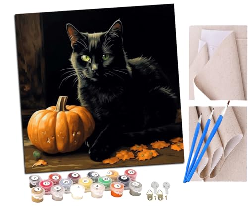 Malen Nach Zahlen Erwachsene Schwarze Katze und Kürbislaternen-Zauberhut (16) DIY handgemaltes Ölgemälde Set für Anfänger und Erwachsene, Acrylfarbe, Kindergemälde, Kreative Heimdekoration von SENDJJ