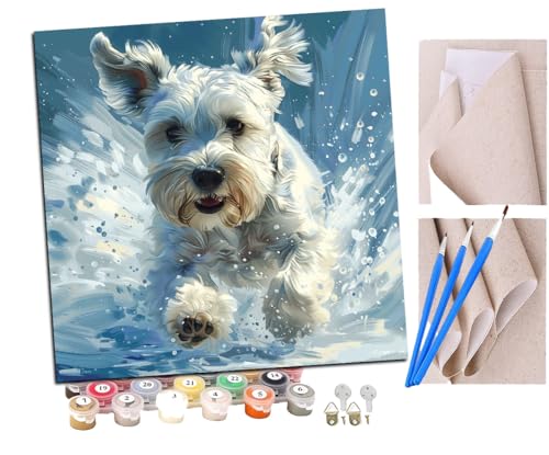 Malen Nach Zahlen Erwachsene Süßer laufender weißer Schnauzer (6) DIY Handgemalt Ölgemälde Leinwand Kits Mit Pinsels und Acrylfarbe Als Geschenke und Heimdekoration Ohne Rahmen 40 x 40 cm von SENDJJ