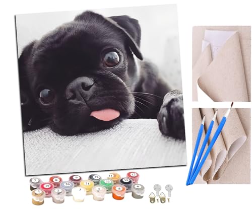 Malen Nach Zahlen Erwachsene Tiere Hunde Haustiere (2) DIY handgemaltes Ölgemälde Set für Anfänger und Erwachsene, Acrylfarbe, Kindergemälde, Kreative Heimdekoration, Geschenk, Weihnachten von SENDJJ