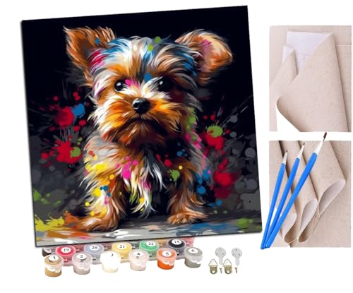 Malen Nach Zahlen Erwachsene Yorkshire Terrier Graffiti Malerei Hund (5) DIY handgemaltes Ölgemälde Set für Anfänger und Erwachsene, Acrylfarbe, Kindergemälde, Kreative Heimdekoration von SENDJJ