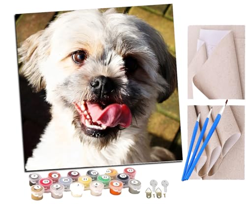 Malen Nach Zahlen Erwachsene süßer Hund Lhasa Apso Tier DIY handgemaltes Ölgemälde Set für Anfänger und Erwachsene, Acrylfarbe, Kindergemälde, Kreative Heimdekoration, Geschenk, Weihnachten Malen Nach Zahlen Erwachsene süßer Hund Lhasa Apso Tier DIY handgemaltes Ölgemälde Set für Anfänger und Erwachsene, Acrylfarbe, Kindergemälde, Kreative Heimdekoration, Geschenk, Weihnachten von SENDJJ