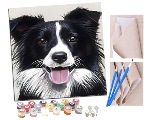 SENDJJ Malen Nach Zahlen Erwachsene Border Collie Paint by Numbers diy GemäLde Kit mit Pinsel und Acrylfarbe Als Geschenk für Wanddeko Groß 40x40cm SENDJJ Malen Nach Zahlen Erwachsene Border Collie Paint by Numbers diy GemäLde Kit mit Pinsel und Acrylfarbe Als Geschenk für Wanddeko Groß 40x40cm von SENDJJ